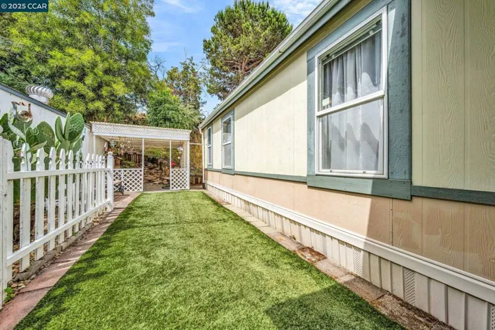 Side Yard