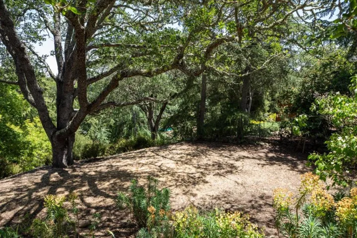 2957 Alexis Drive, Palo Alto, California 94304