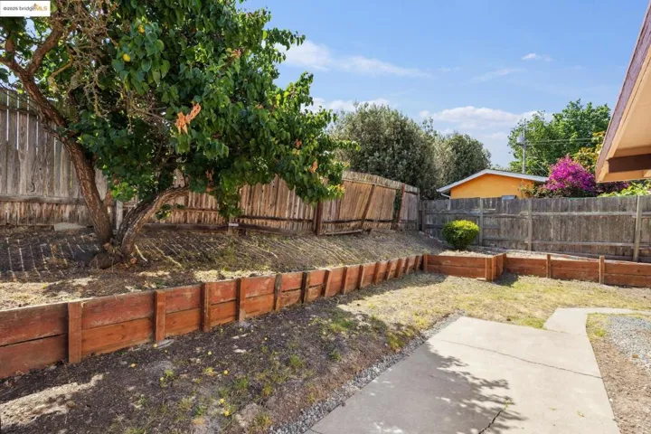 Spacious Back Yard