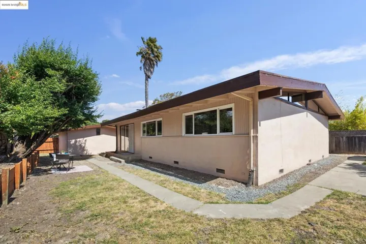Spacious Back Yard