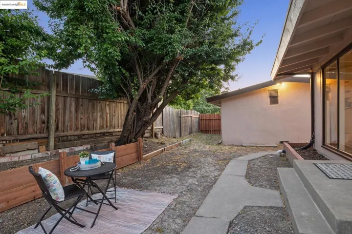 Spacious Back Yard