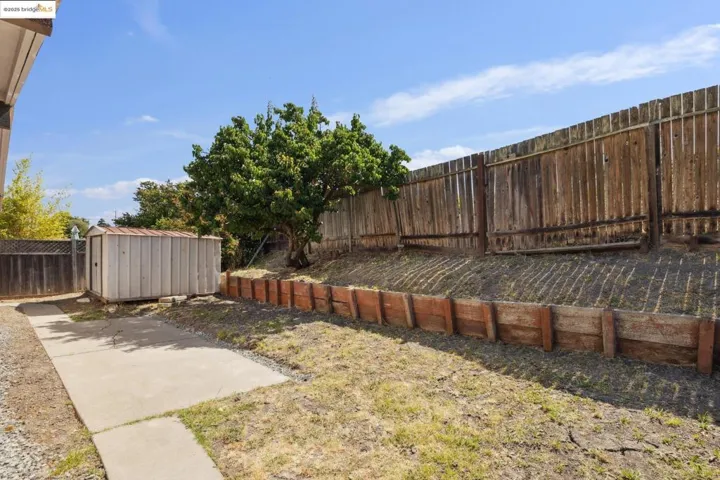 Spacious Back Yard