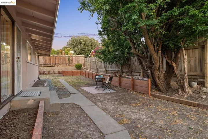 Spacious Back Yard