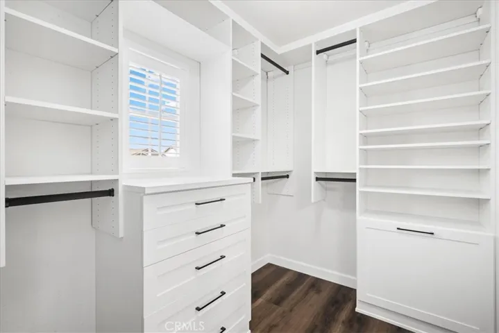 primary en suite walk in closet #2