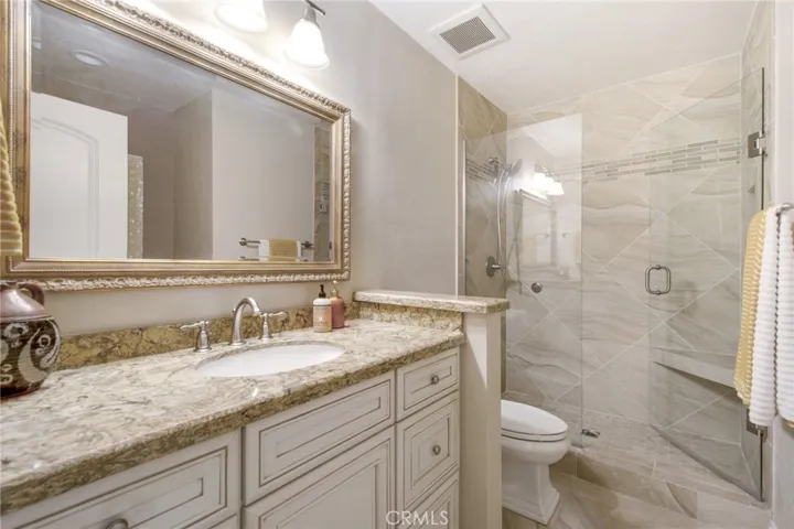 Downstairs FULL bathroom including quartz counter, vanity mirror, toilet and walk-in shower with glass doors.