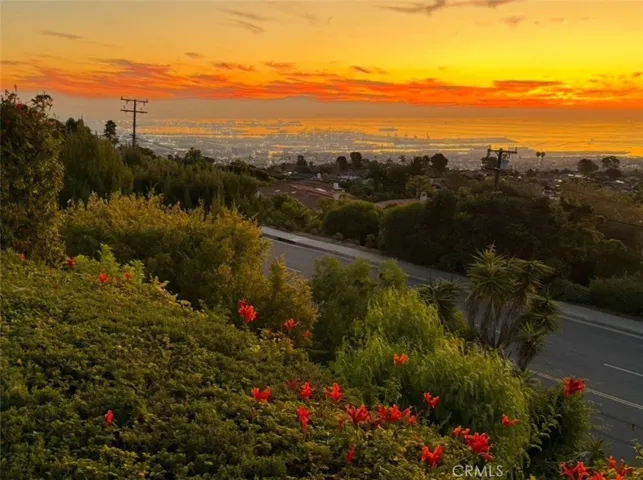 Harbor Sunset Photo