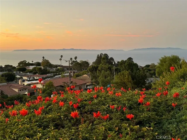 Catalina Sunset Photo