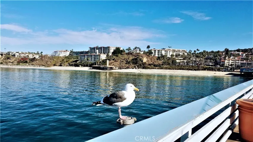 3520 Paseo Flamenco, San Clemente, California 92672