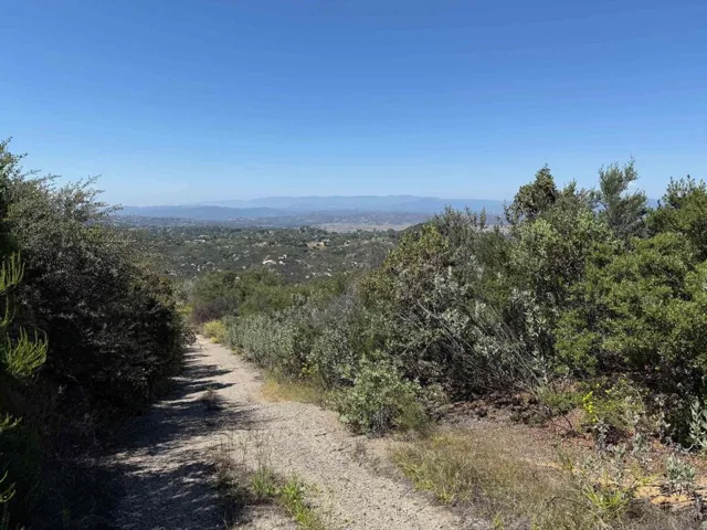 Driveway and view