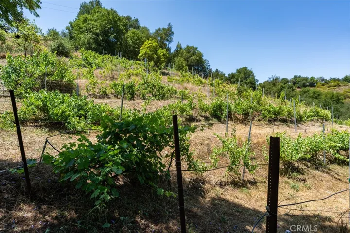 43275 Calle Capistrano, Temecula, California 92590