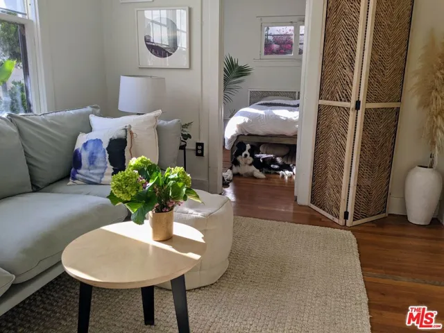 liviing room