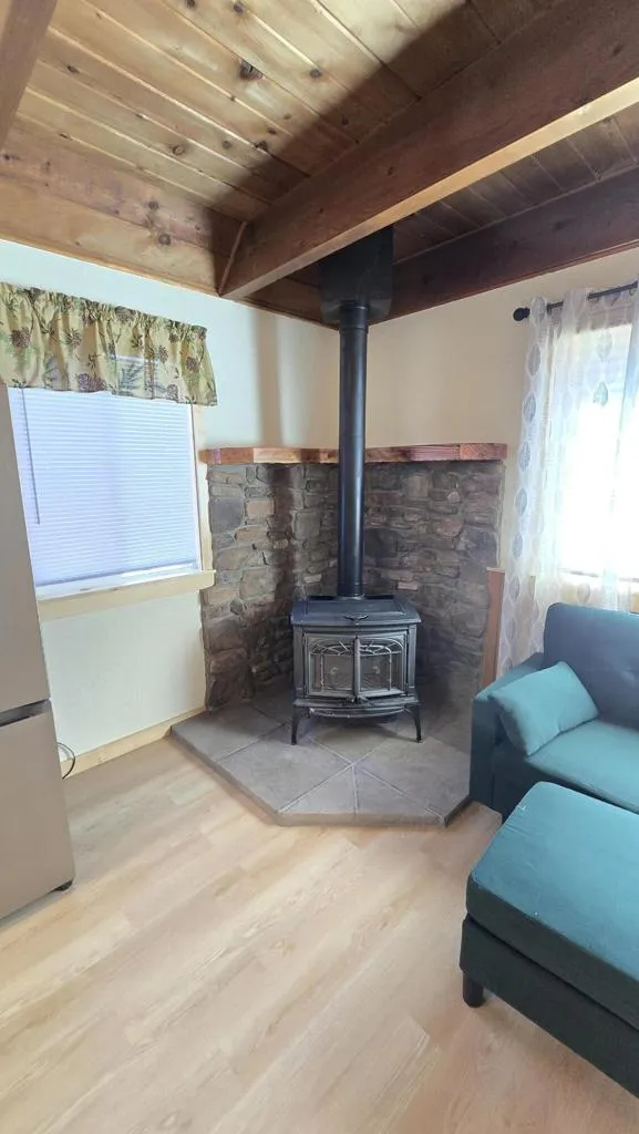 317 Spruce Lane 1005, Sugarloaf, California 92386 home-pic-14