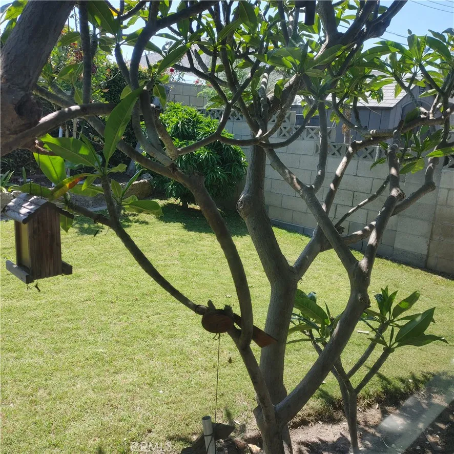 10904 1st Avenue, Whittier, California 90603 home-pic-31