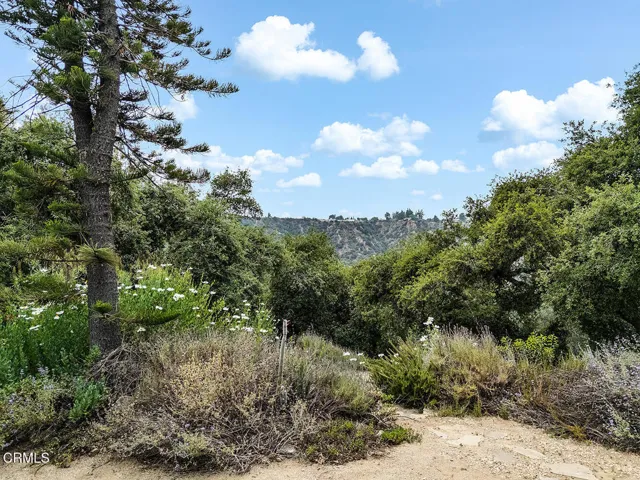 4155 Aralia Rd 055-mls