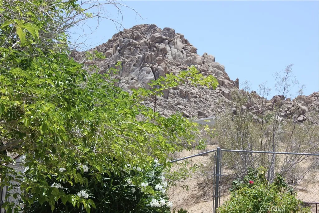 7117 Bonita Avenue, Joshua Tree, California 92252 home-pic-44