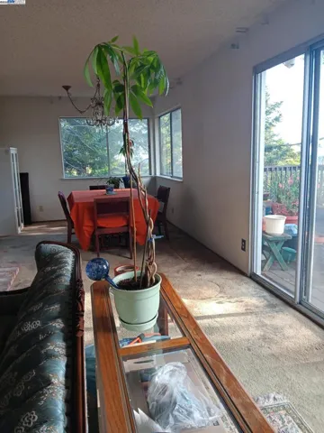 18393 Pepper St, Castro Valley, California 94546