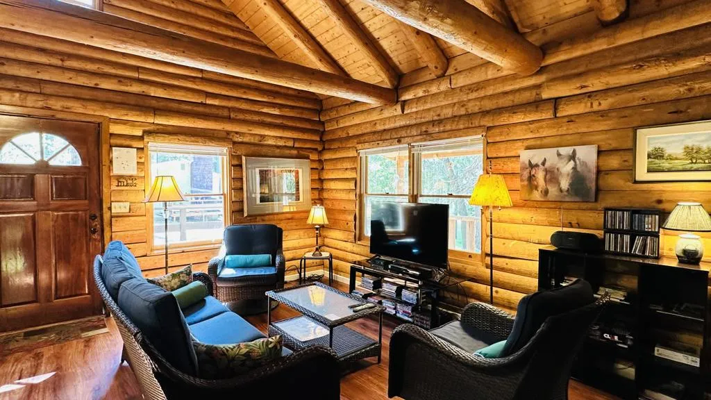 53341 Sherman Drive, Idyllwild, California 92549 home-pic-6