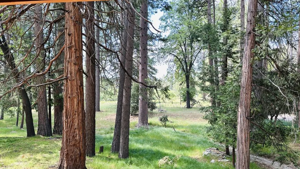 53341 Sherman Drive, Idyllwild, California 92549 home-pic-20
