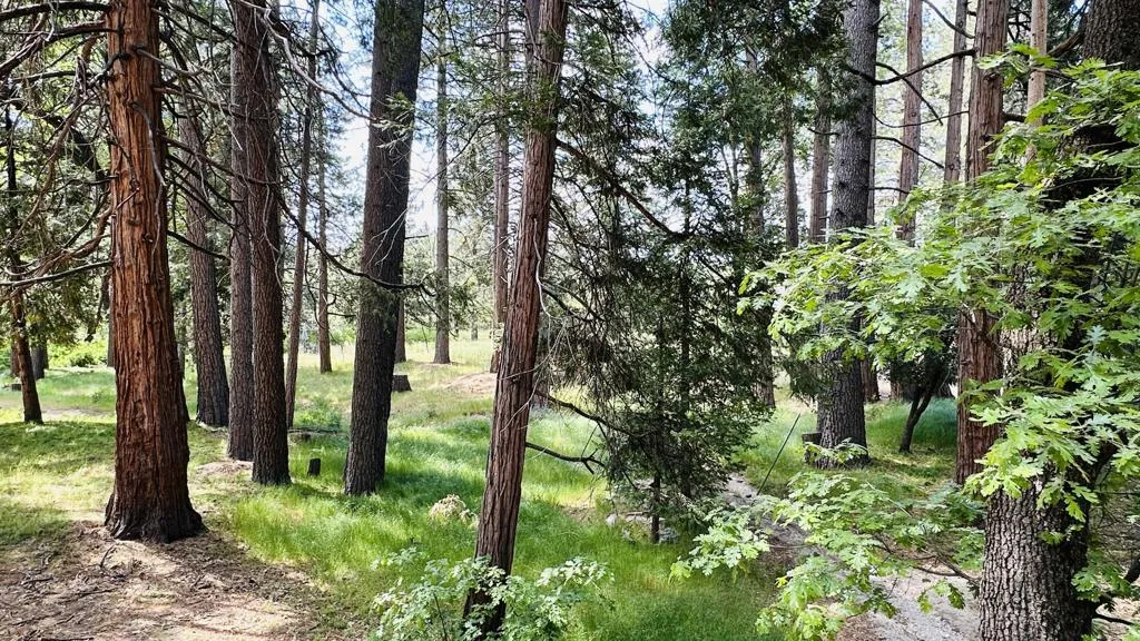 53341 Sherman Drive, Idyllwild, California 92549 home-pic-21