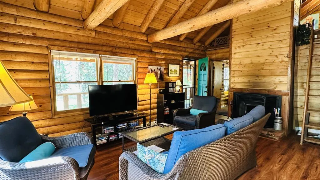 53341 Sherman Drive, Idyllwild, California 92549 home-pic-3