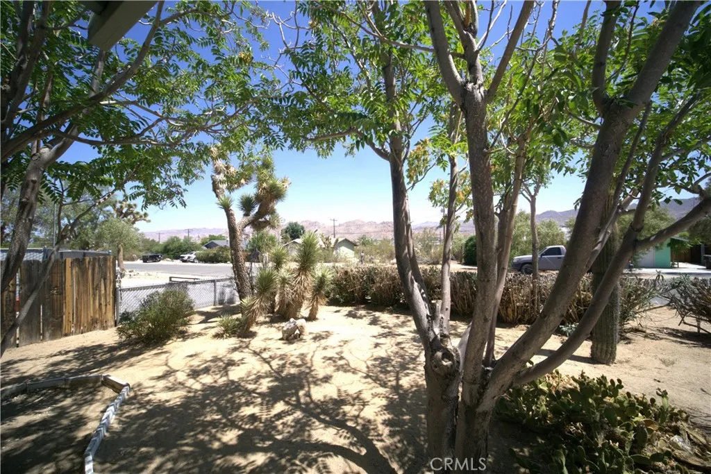 61740 Oleander Drive, Joshua Tree, California 92252 home-pic-34