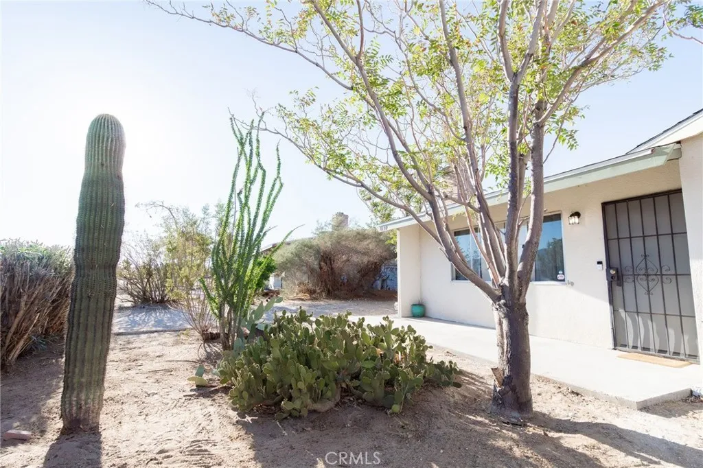 61740 Oleander Drive, Joshua Tree, California 92252 home-pic-36
