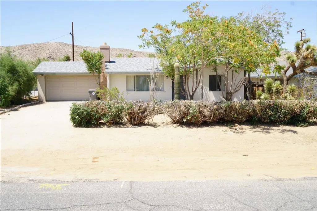 61740 Oleander Drive, Joshua Tree, California 92252 home-pic-1