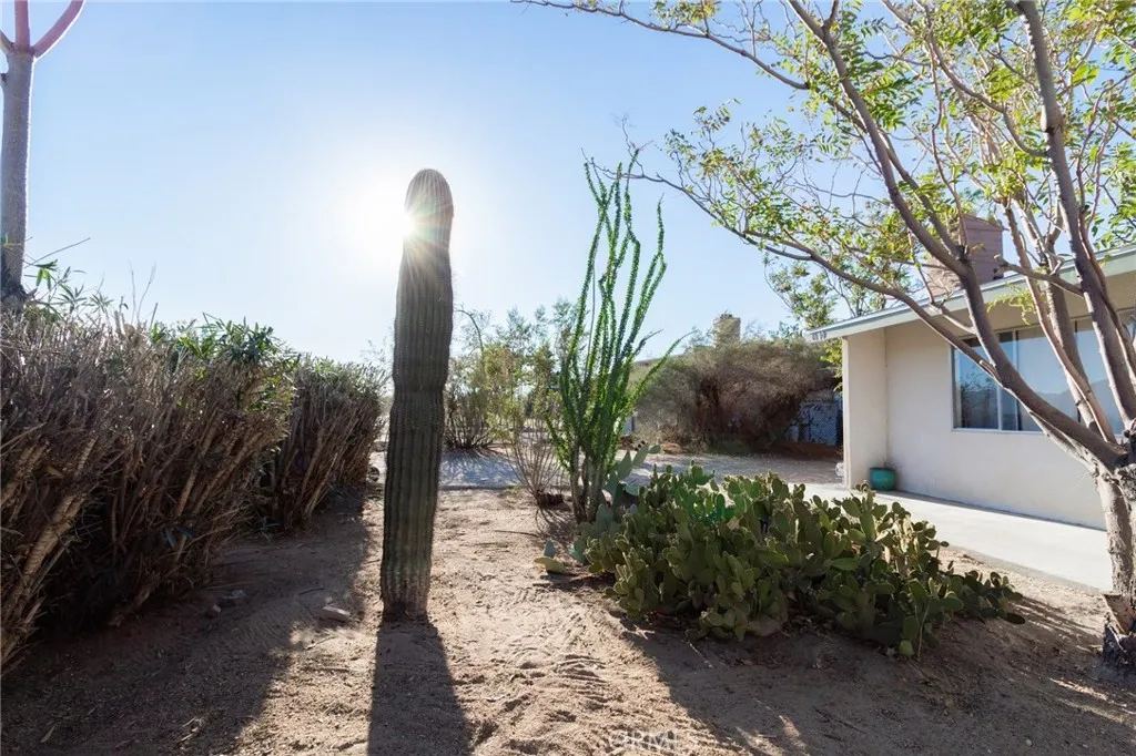 61740 Oleander Drive, Joshua Tree, California 92252 home-pic-37