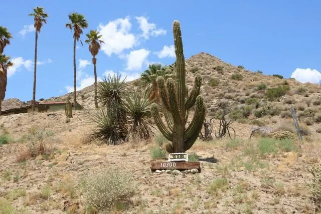 10300 Pine Avenue, Morongo Valley, California 92256 home-pic-15
