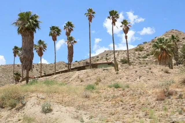 10300 Pine Avenue, Morongo Valley, California 92256 home-pic-14