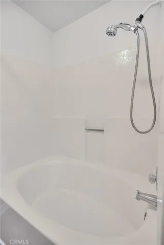 Master Bathroom Tub and Shower
