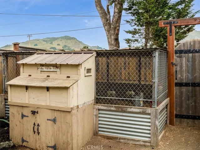 Chicken Coop