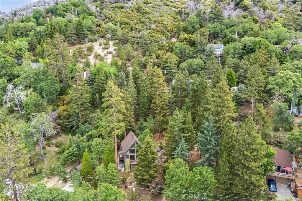 6429 Cedar Avenue, Angelus Oaks, California 92305 home-pic-37