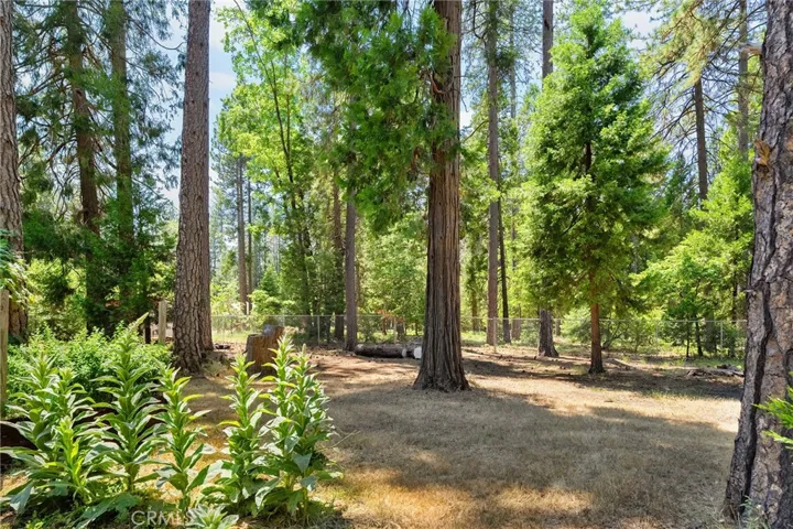 4930 Contentment Lane, Forest Ranch, California 95942