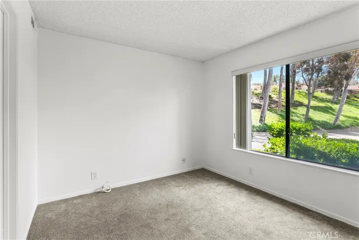 Downstairs bedroom (or office/den).