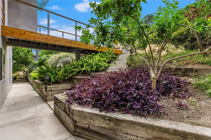 Garden outside of the laundry room and office.  Mature lemon and orange trees.