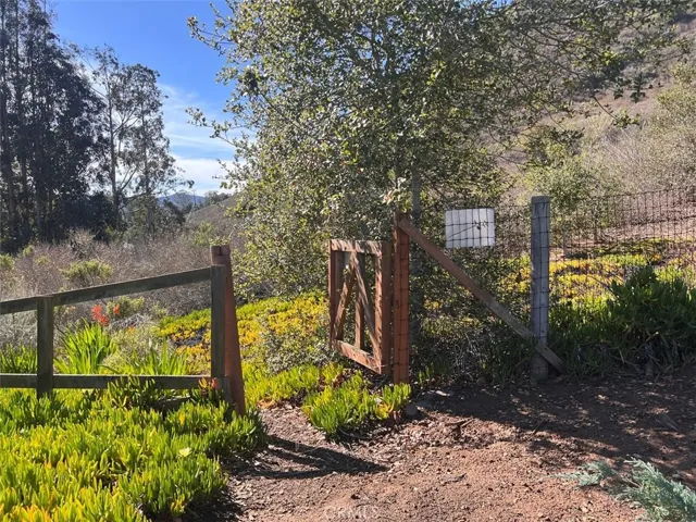 Trail Head 3 doors down goes to Black Hill and other trails