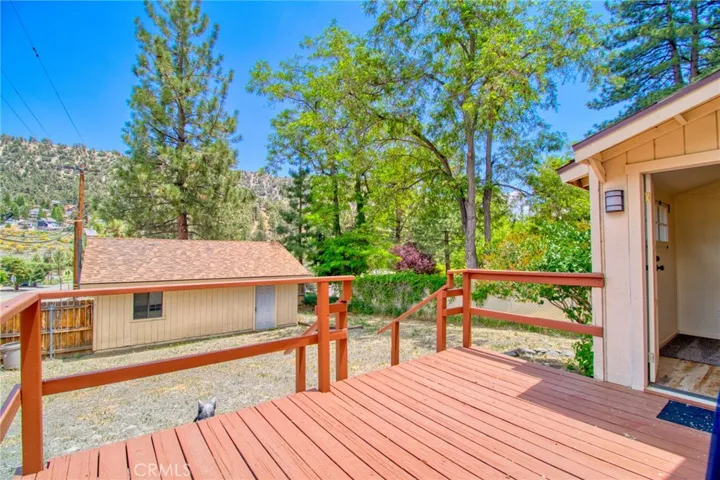 1131 Apple Avenue, Wrightwood, California 92397