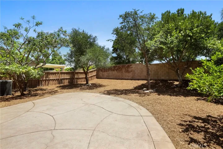 Large Pool Size backyard