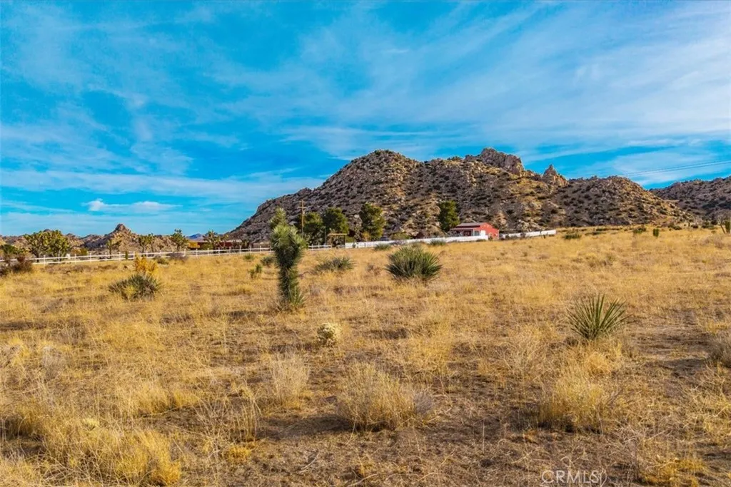 Flat, buildable lot