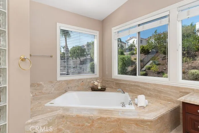 Master bathroom tub
