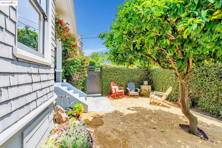 Front Yard