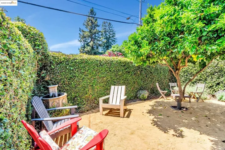 Front Yard