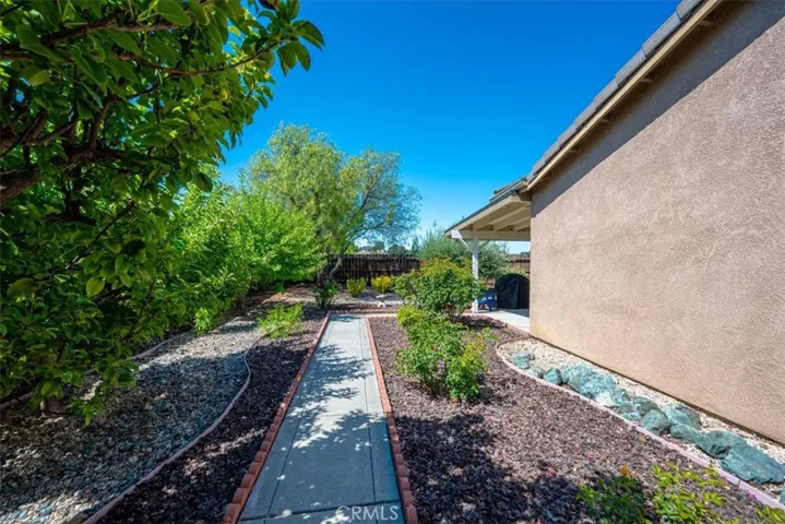 Side yard