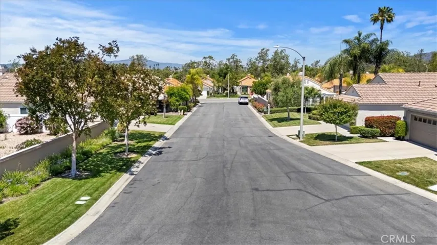 Tree Lined Street / Opposite Direction