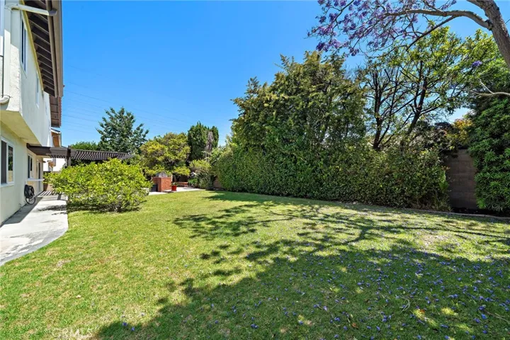 What would you do with this yard?