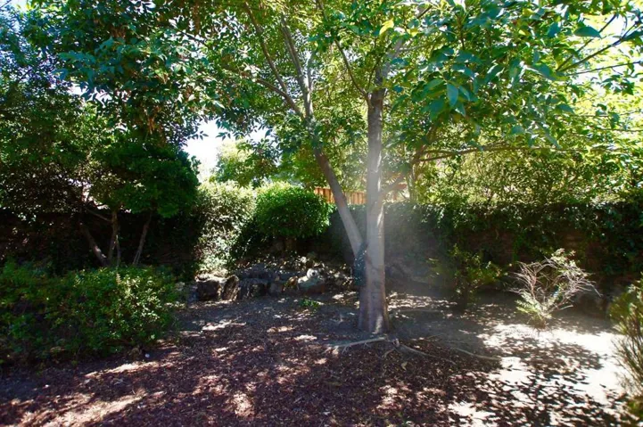 5502 Taft Drive, San Jose, California 95124