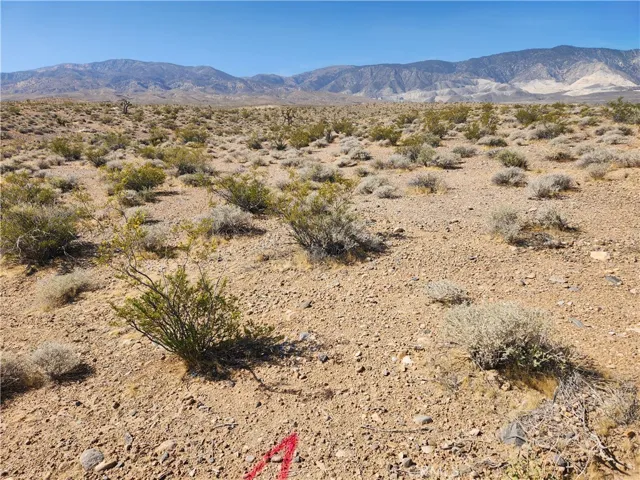 20 Ac Dallas Avenue, Lucerne Valley, California 92356