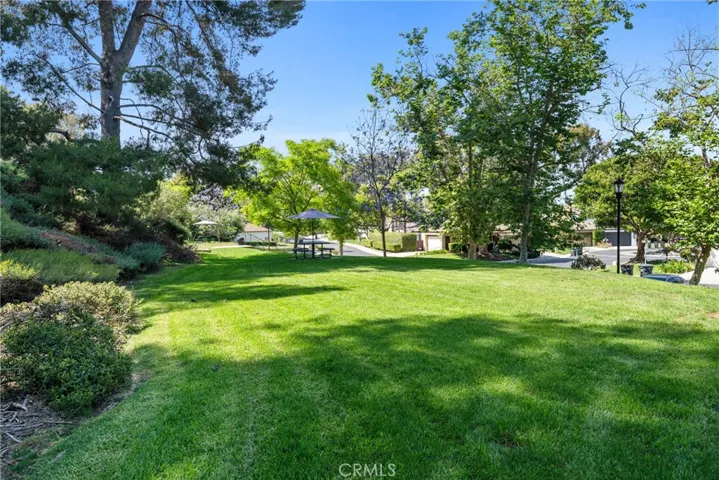 Greenspace perfect to walk your dog to!