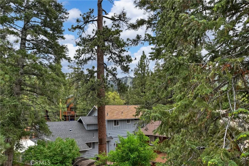 788 Silver Tip Drive, Big Bear Lake, California 92315 home-pic-37